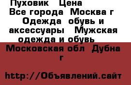 Пуховик › Цена ­ 2 000 - Все города, Москва г. Одежда, обувь и аксессуары » Мужская одежда и обувь   . Московская обл.,Дубна г.